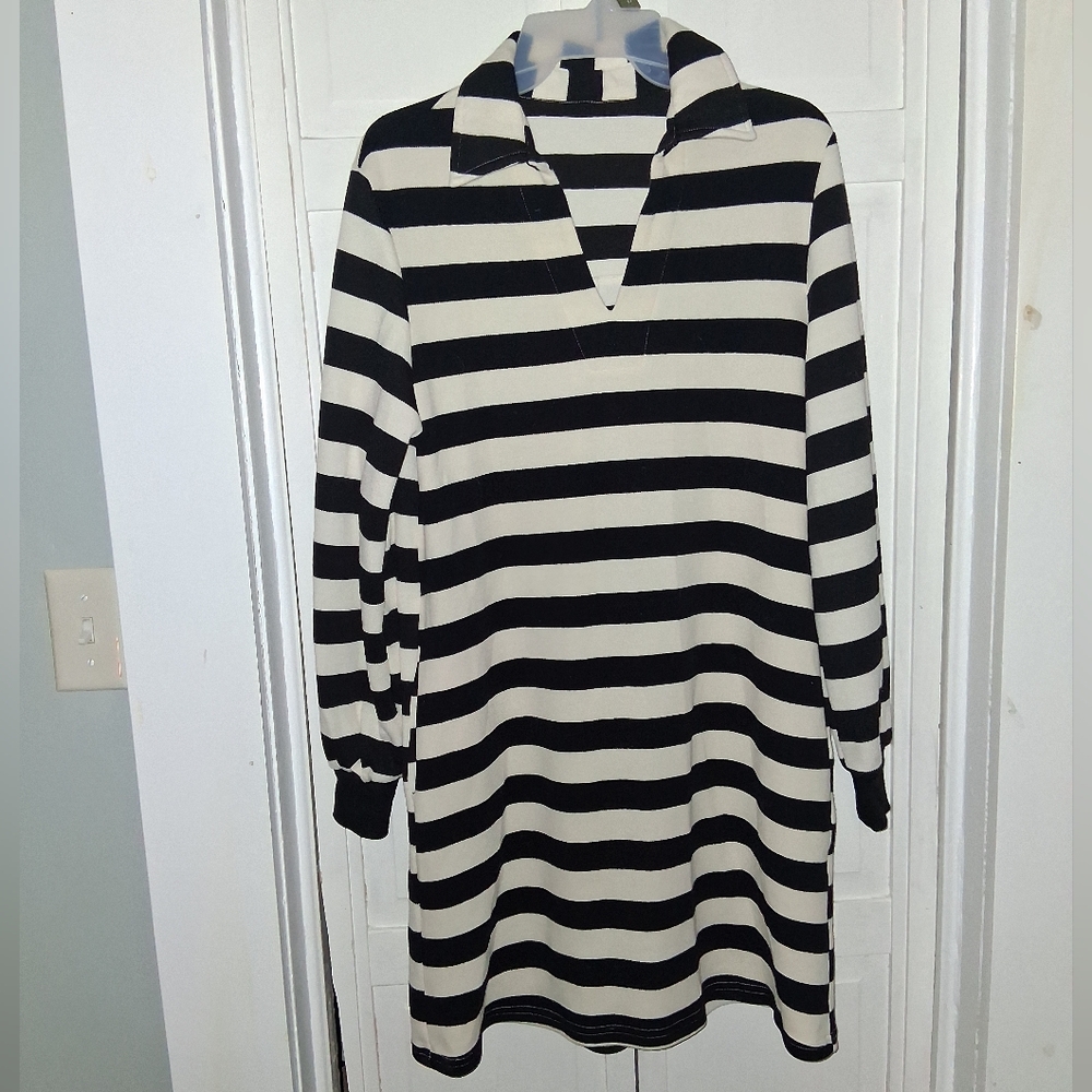 Harmony In Nature Black and White Striped Long Sleeve Collar And V- Neck Dress
